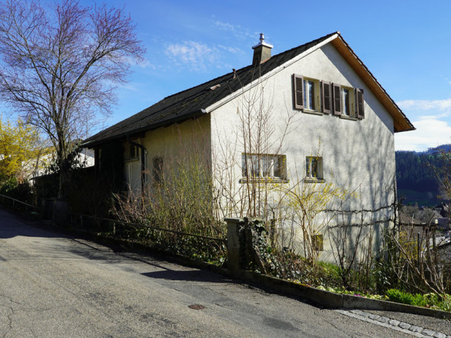 Humbert Immobilien I Langnau, Haldenstrasse, EFH